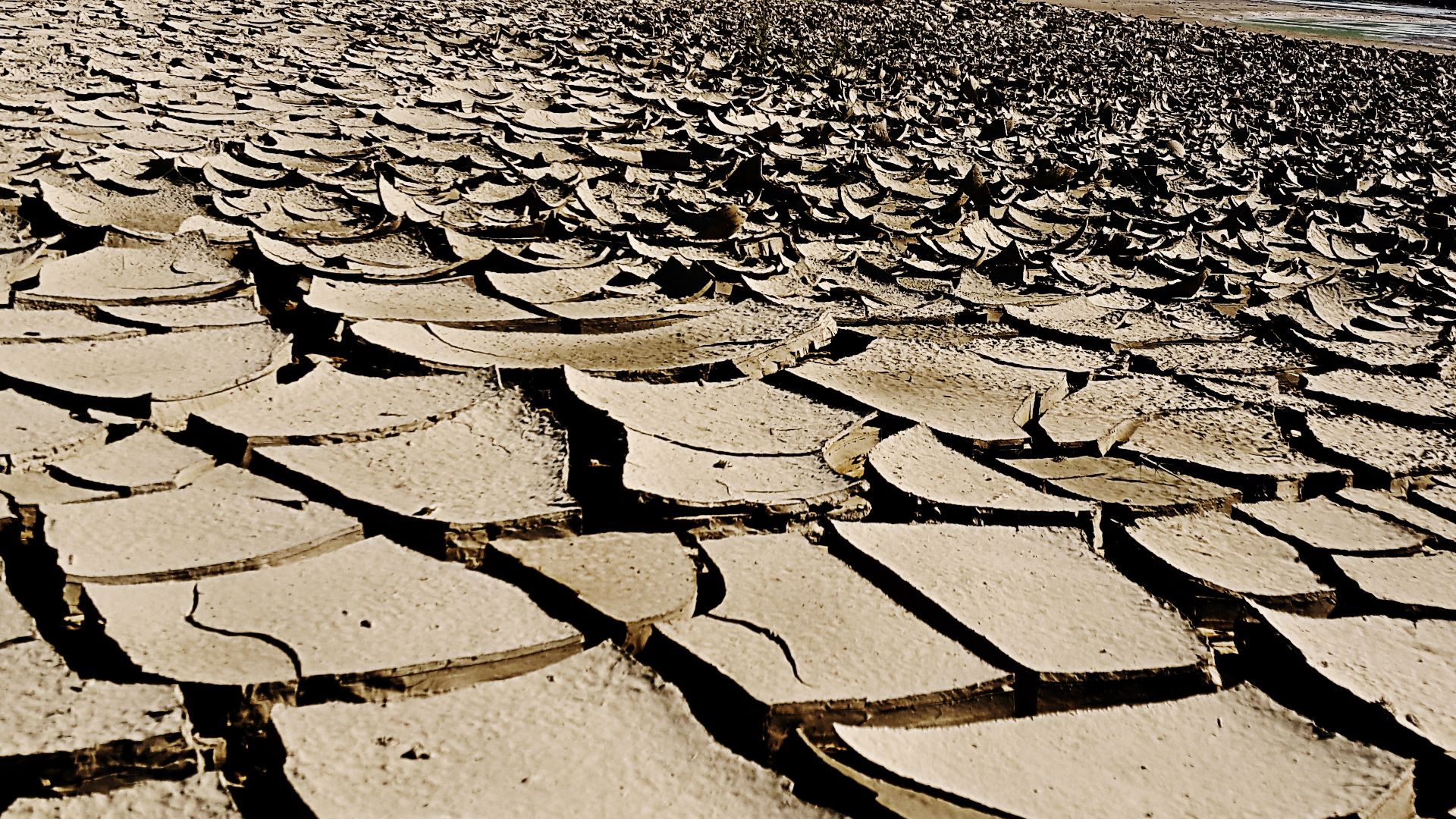 File:Drought land dry mud BOUHANIFIA Algeria 01.jpg