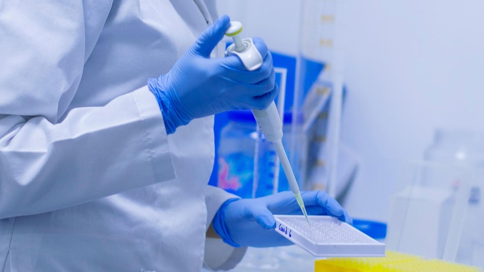 fernandozhiminaicela