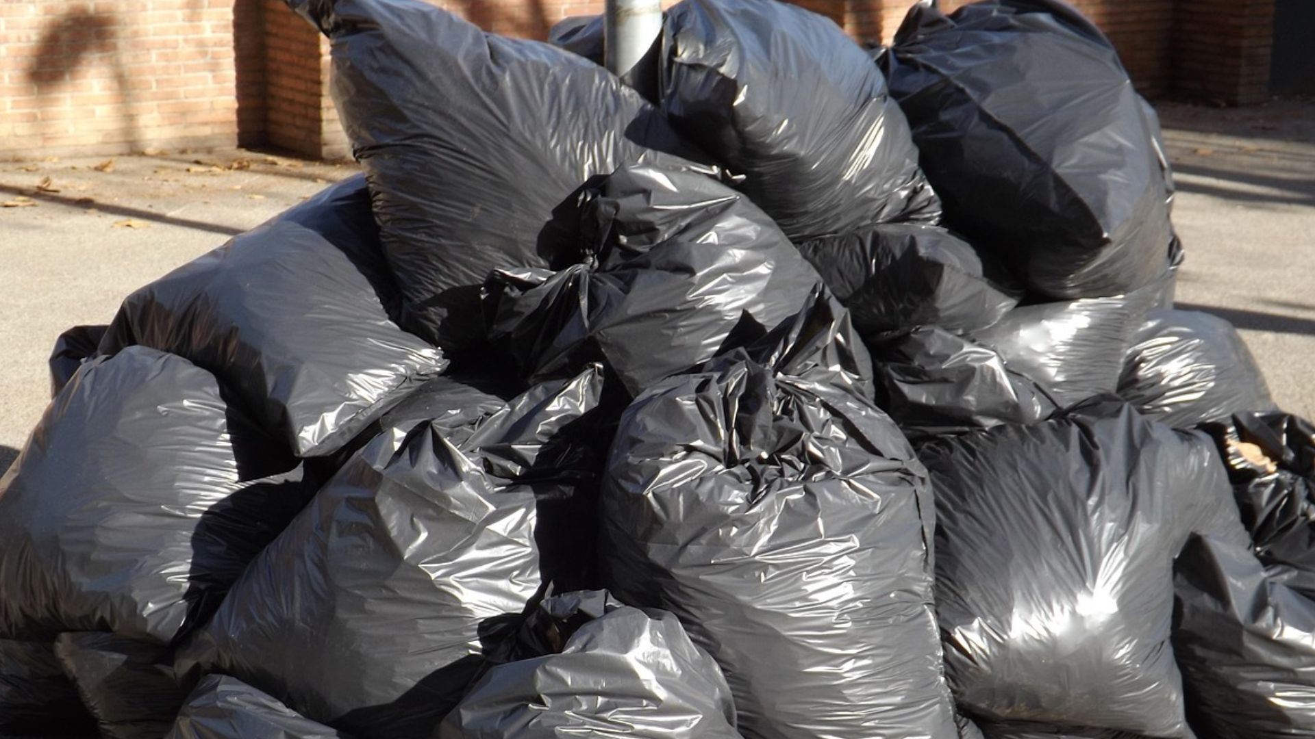 ALTEREGOINTELIGENCIA