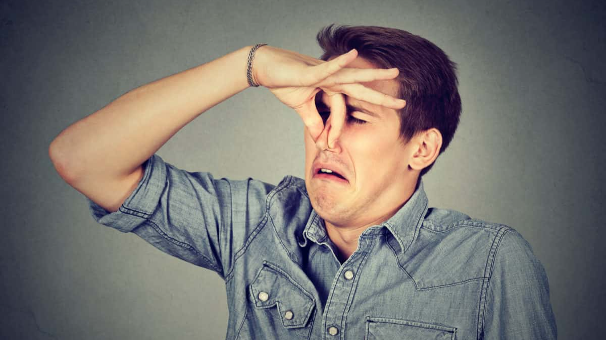 Employees should have been fired facts