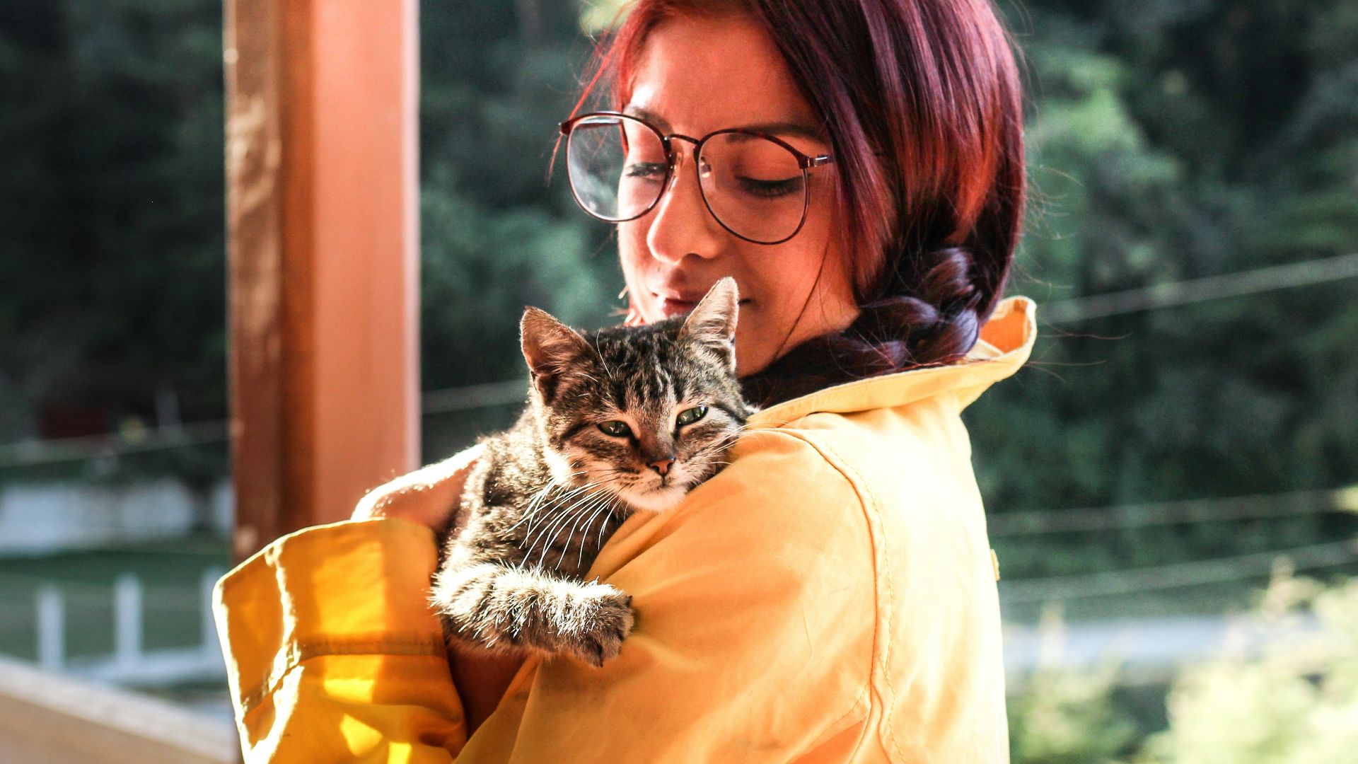 woman carrying cat while standing on porch