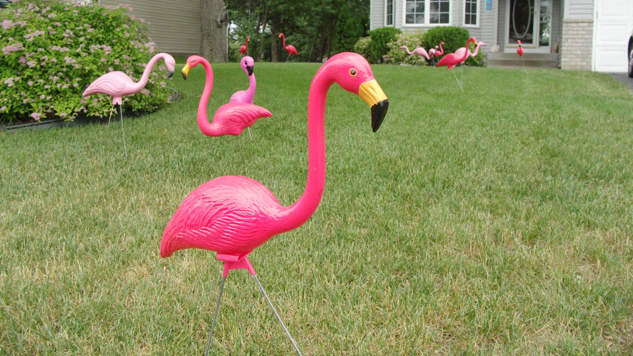 Nightmare Neighbors Facts