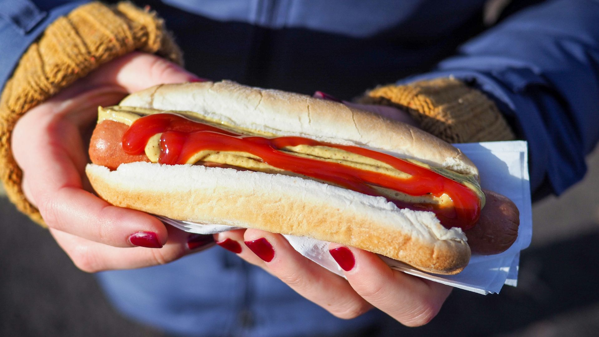 person holding hotdog with bun