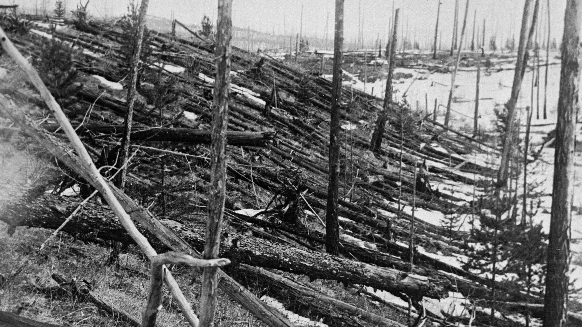 File:Tunguska Ereignis-1.jpg