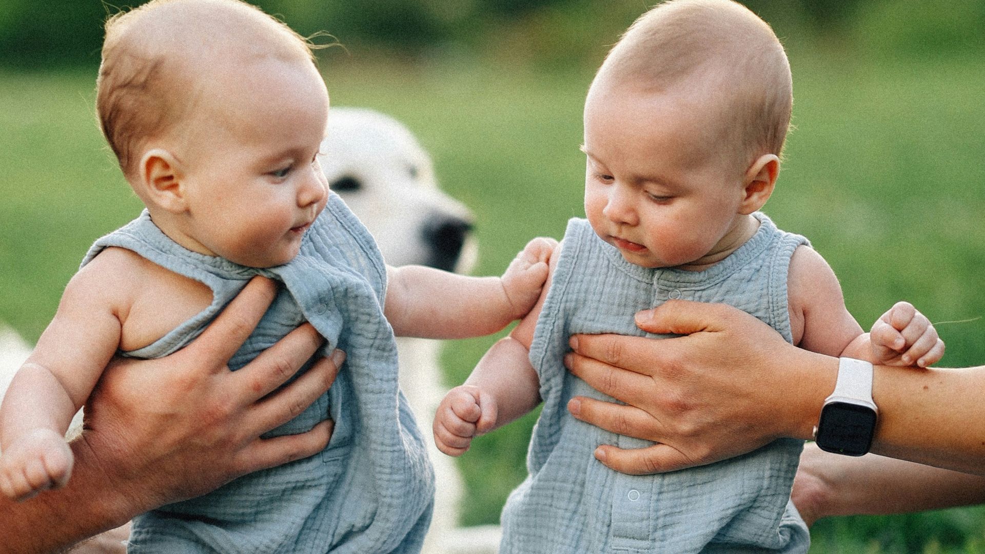 Twin babies are learning to walk with assistance.