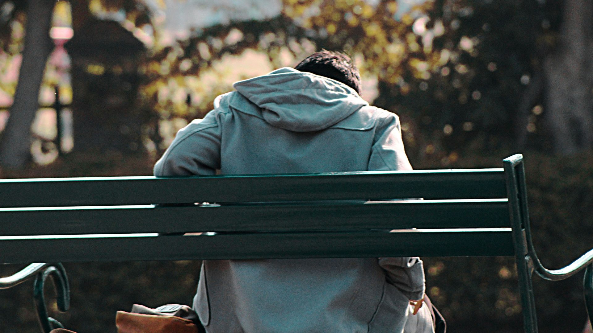 a person sitting on a bench in a park