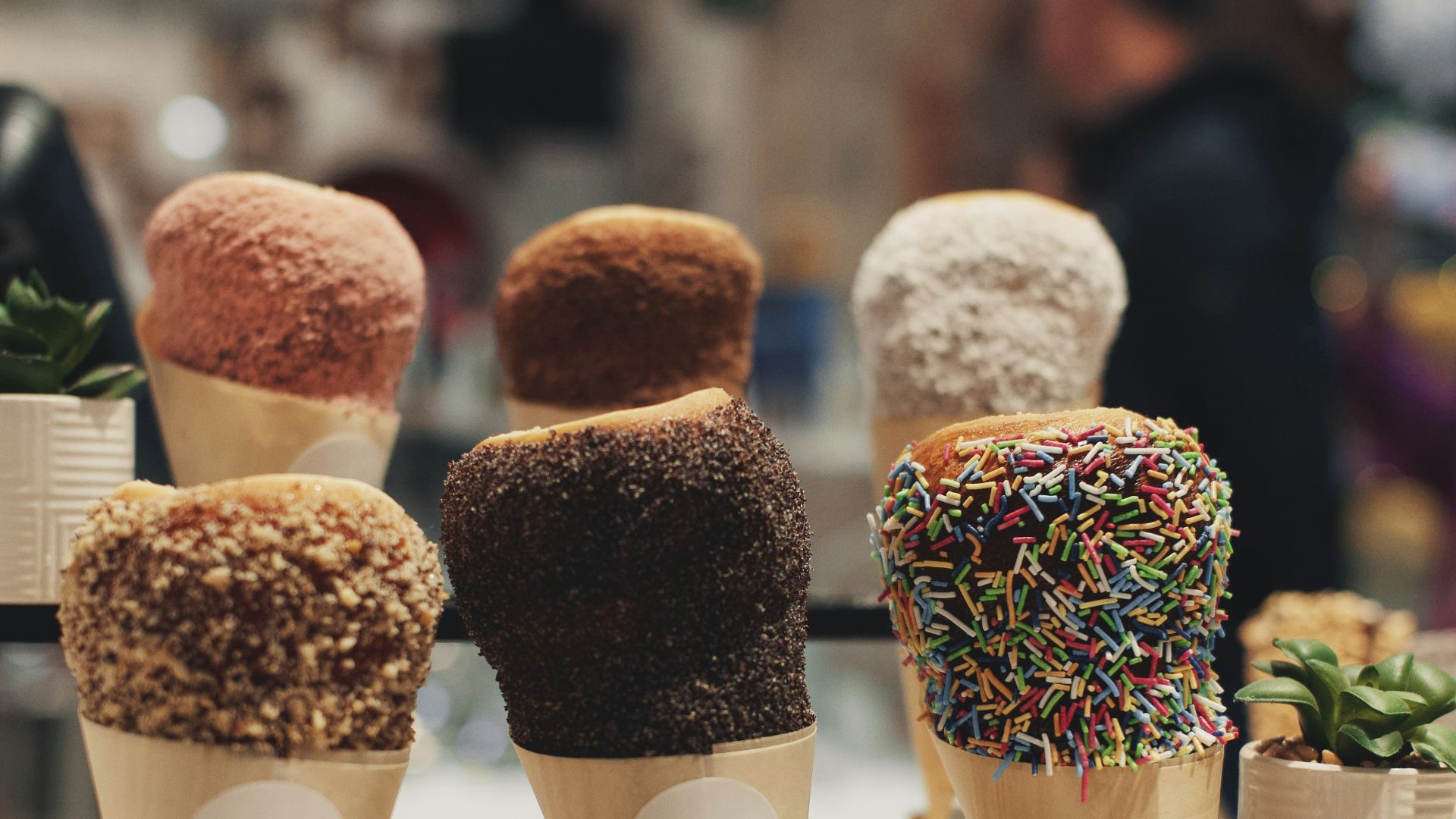 a display of ice cream cones with sprinkles and succulents