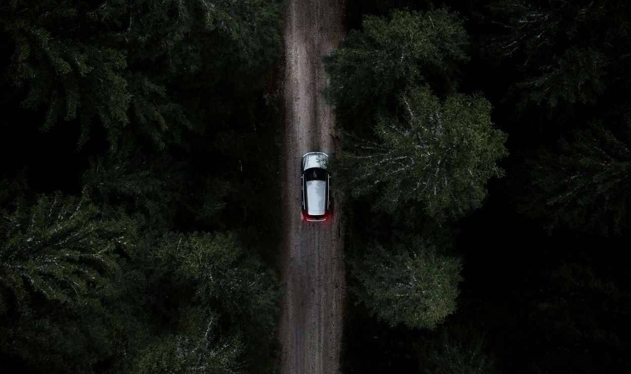 White and Black Car on Road in Between Green Trees