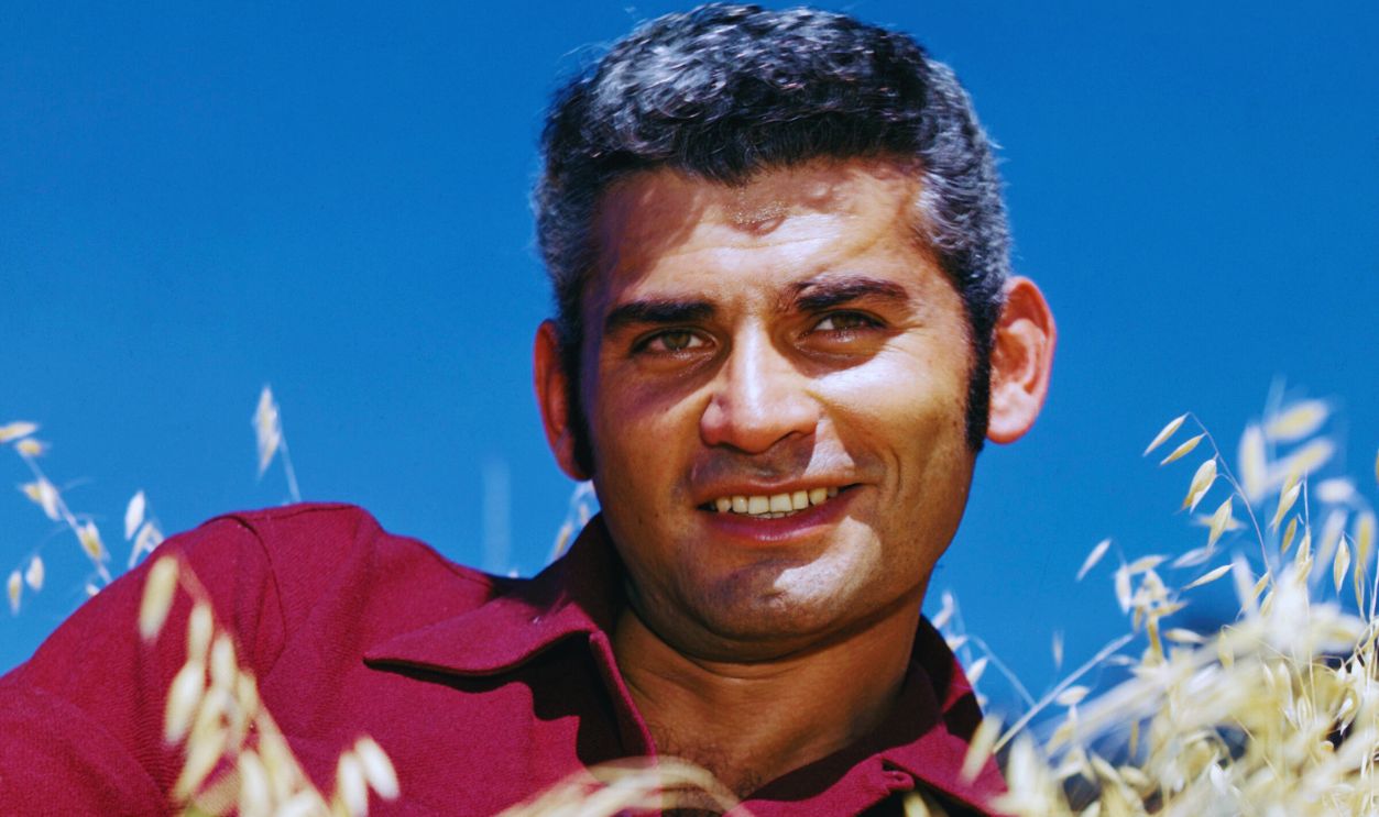 Gettyimages - 697472099, Jeff Chandler American actor Jeff Chandler (1918 - 1961) poses in the long grass, circa 1960. 