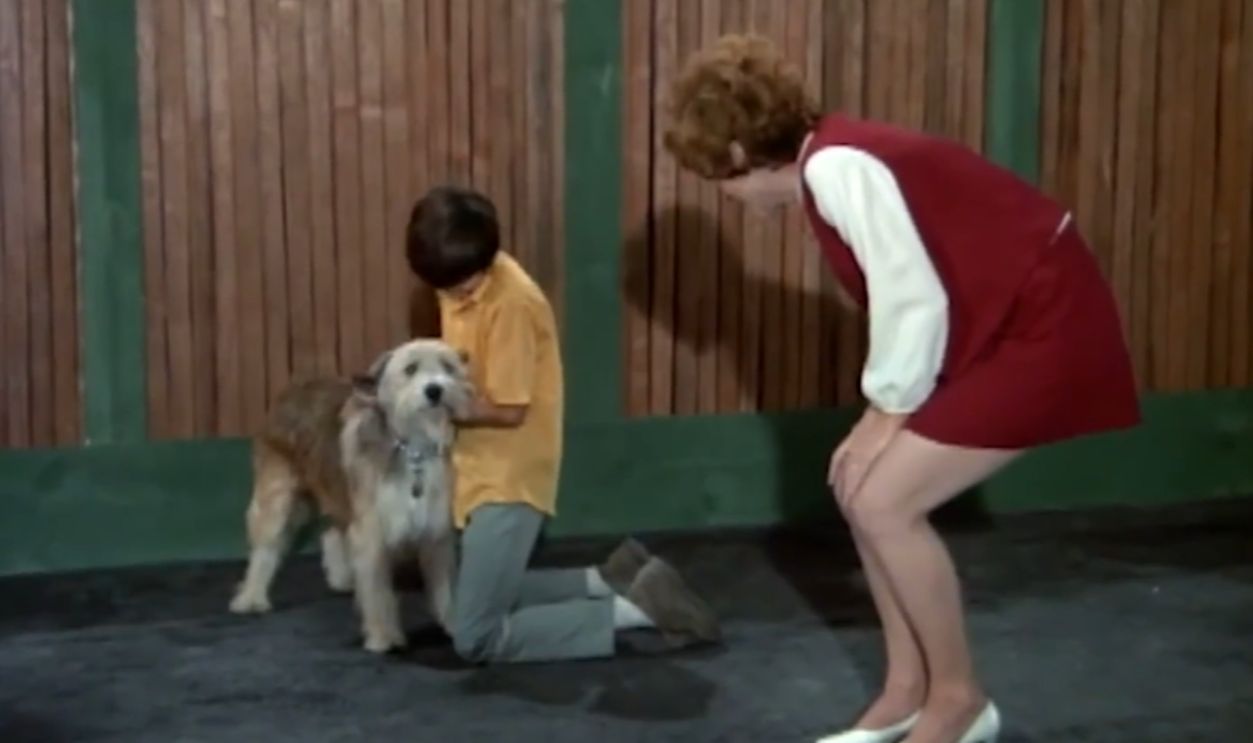 Screenshot from The Brady Bunch (1969-1974) 