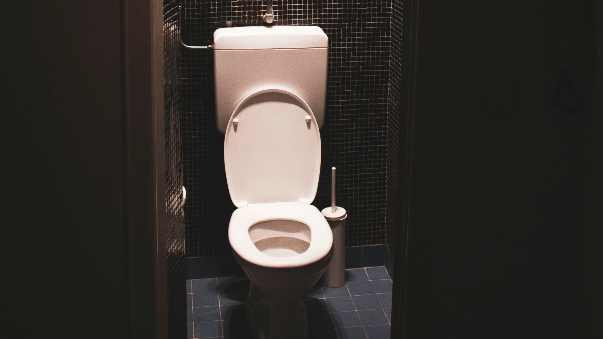 a white toilet sitting inside of a bathroom stall