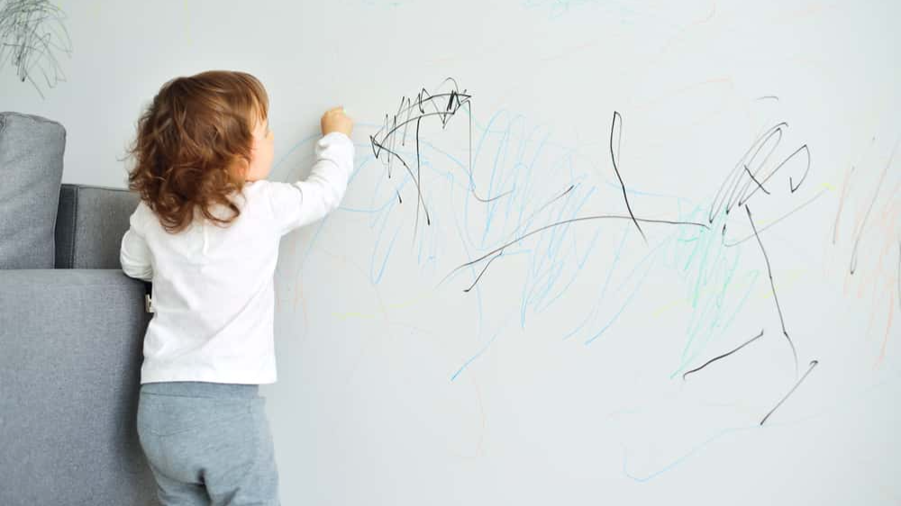 Strangest friend's house