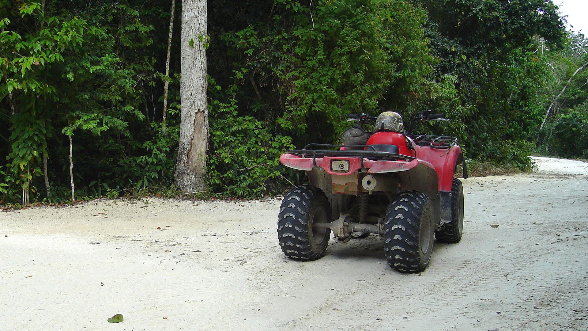 Top side of Pet Cemetary Cenote. some tourists get here with the ATV