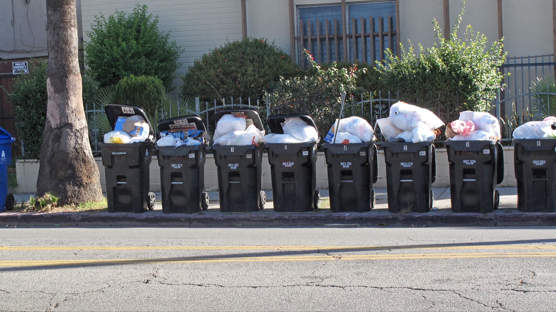 File:Row of trash cans, East Hollywood.jpg