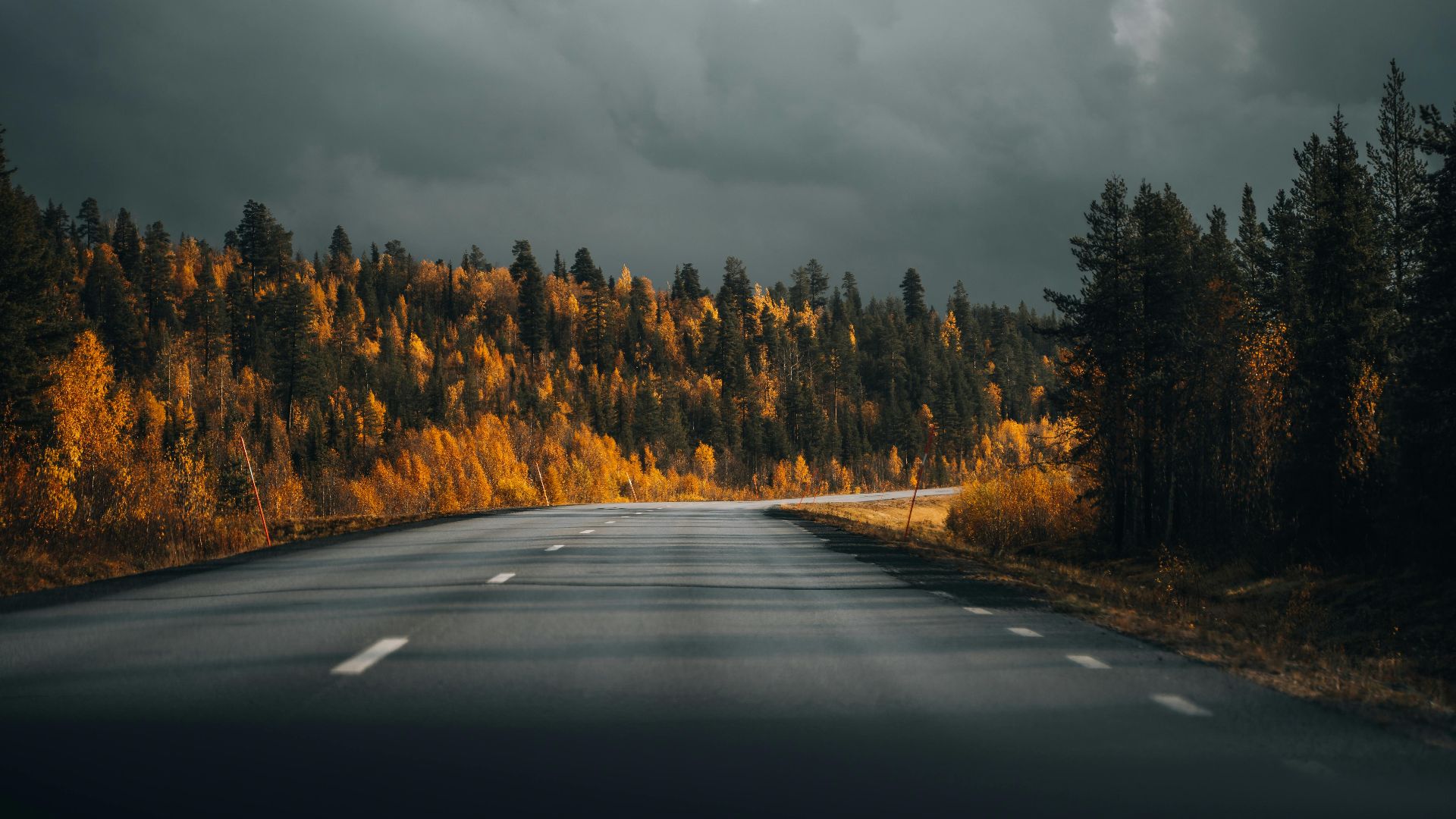 A scenic highway cutting through vibrant autumn foliage under a dramatic sky.