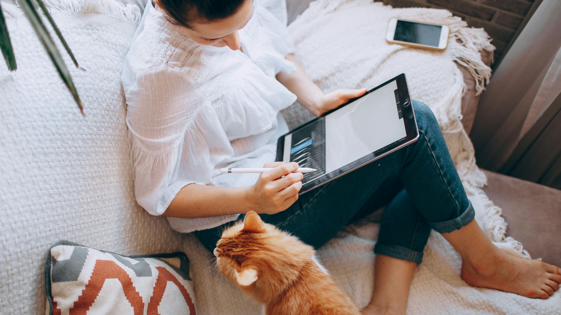 From above of crop unrecognizable young female freelancer sitting on sofa and working on graphics tablet near adorable curious cat at home
