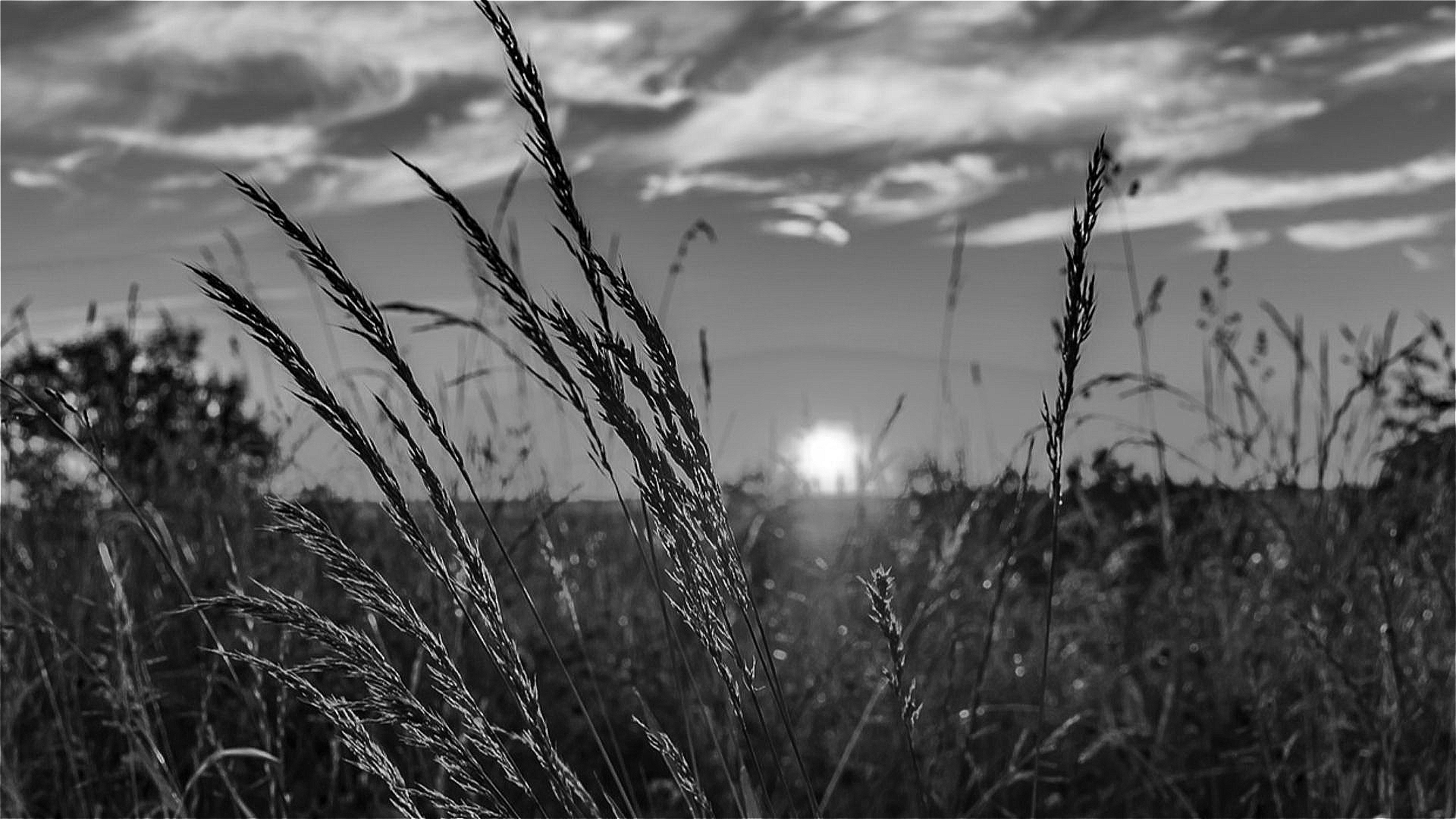 Byzantine Empire Facts