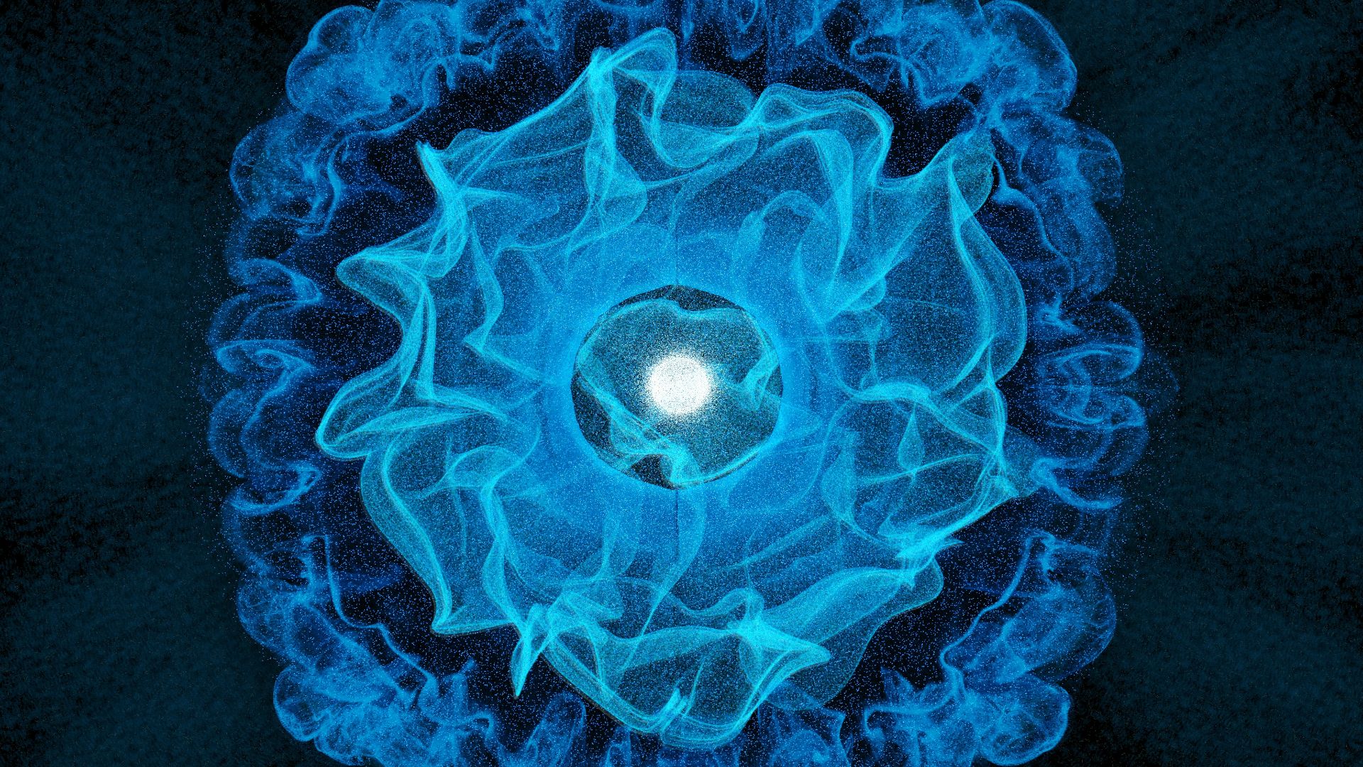 A blue flower with a white center on a black background