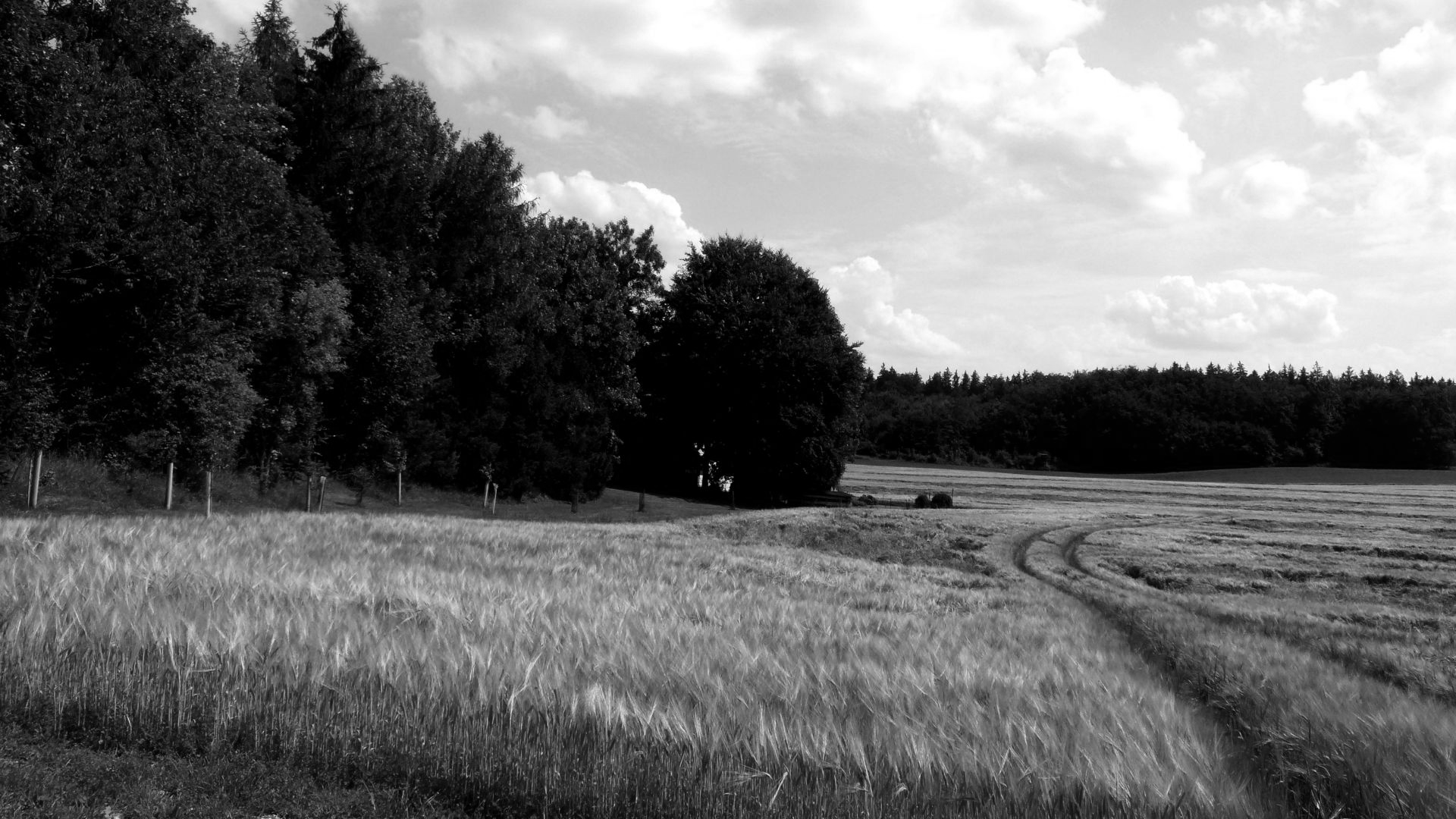 Starnberg, OT Leutstetten, in der Flur „Auf der Schwaig“.