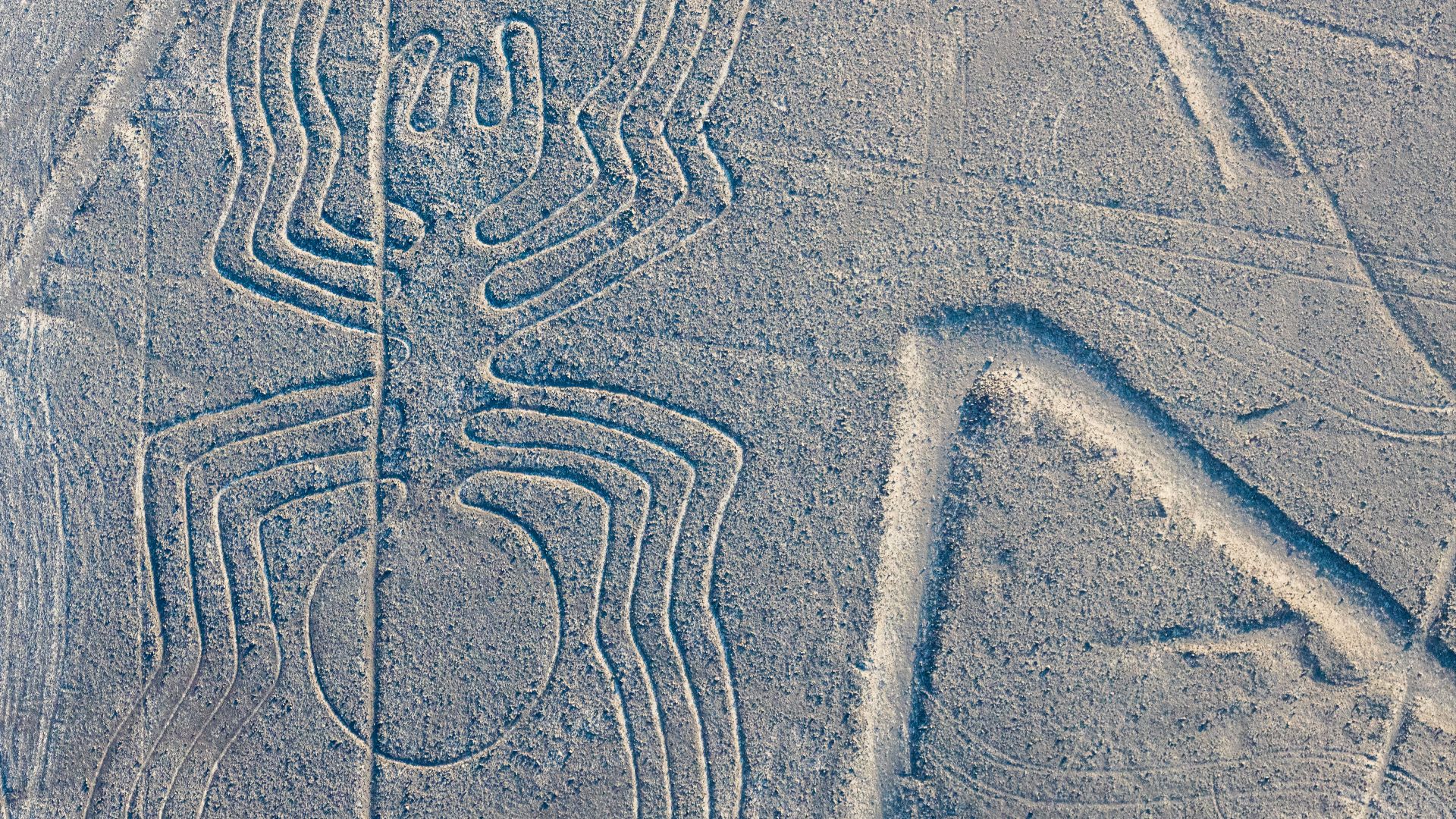 This place is a UNESCO World Heritage Site, listed as
Nazca Lines.