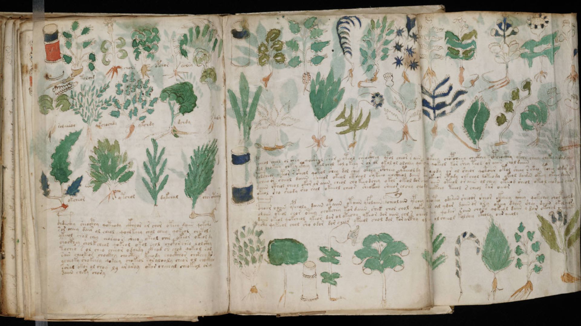 A page from the mysterious Voynich manuscript, which is undeciphered to this day.