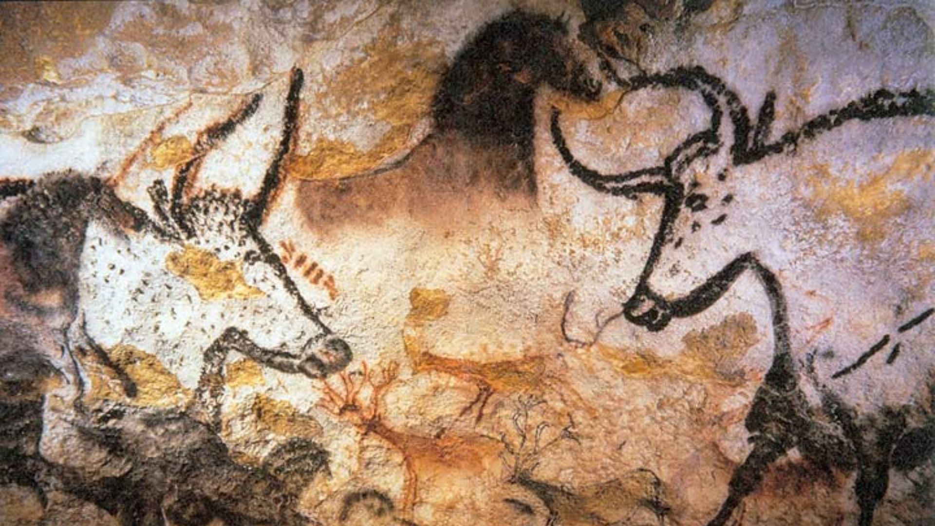Aurochs, horses and deer painted on a cave
