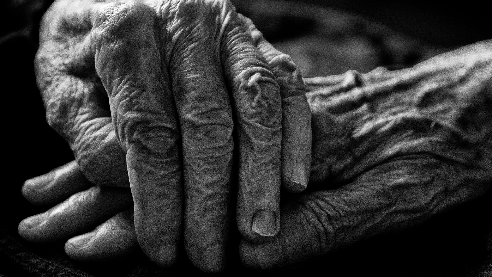 Intimate black-and-white close-up of elderly hands showing age and experience.