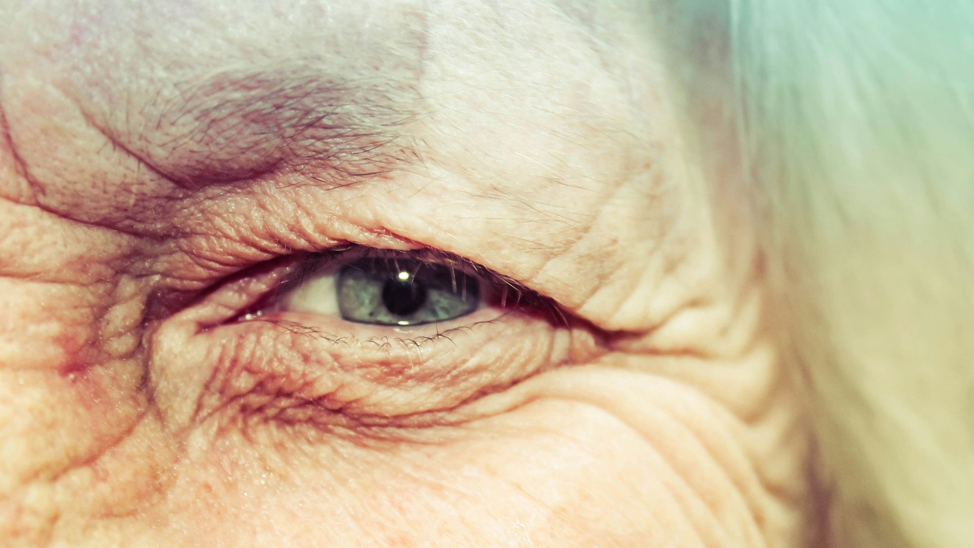 persons taking selfie