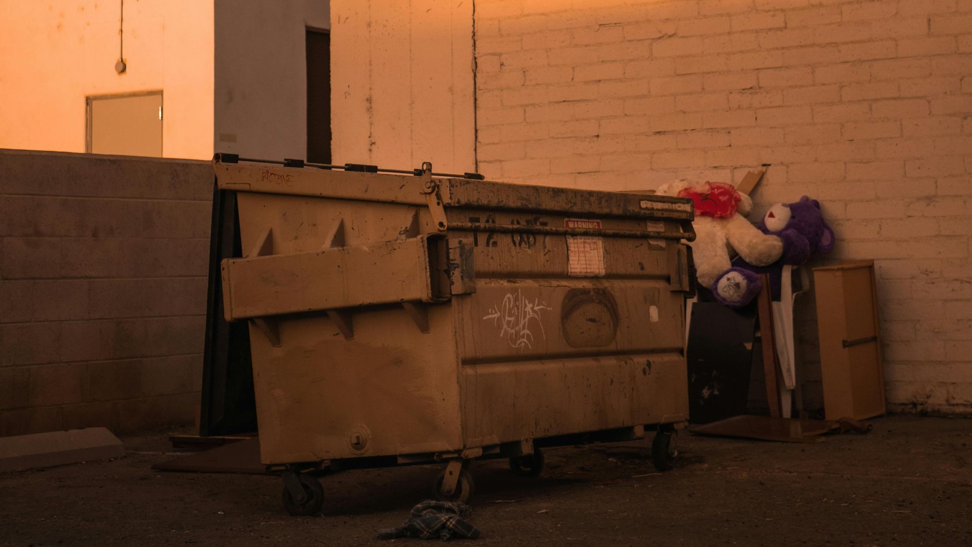 A warm-toned urban scene with a dumpster and discarded plush toys against a brick wall.