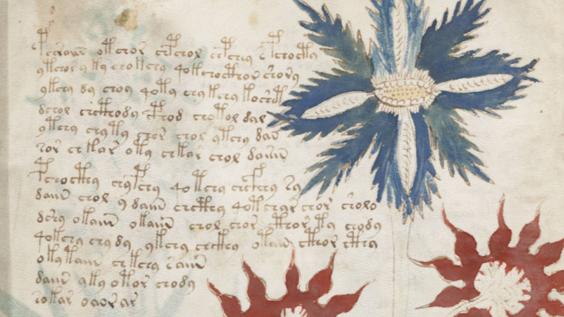 A page from the mysterious Voynich manuscript, which is undeciphered to this day.