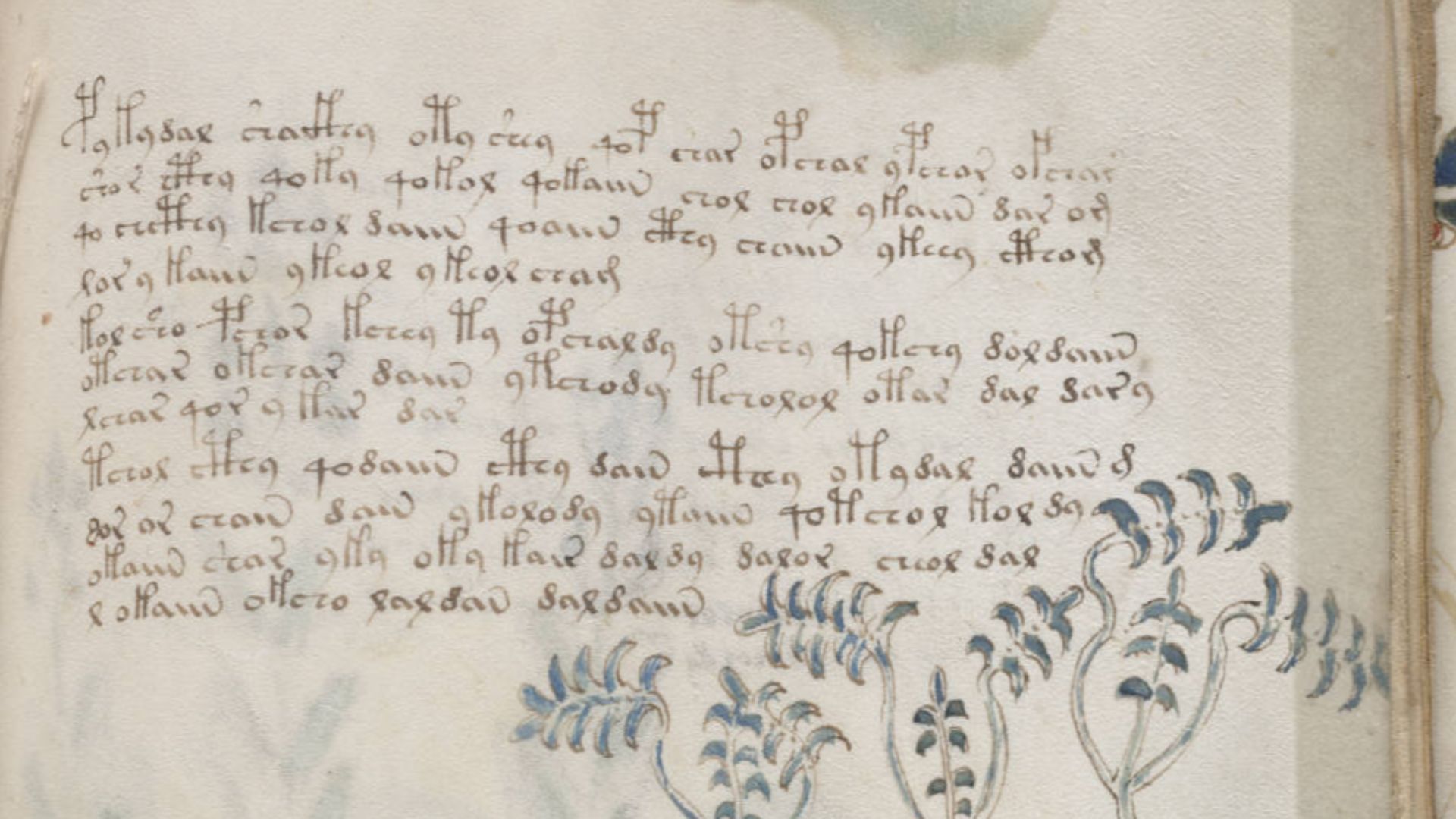 A page from the mysterious Voynich manuscript, which is undeciphered to this day.