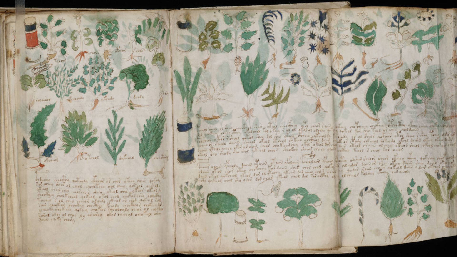 A page from the mysterious Voynich manuscript, which is undeciphered to this day.