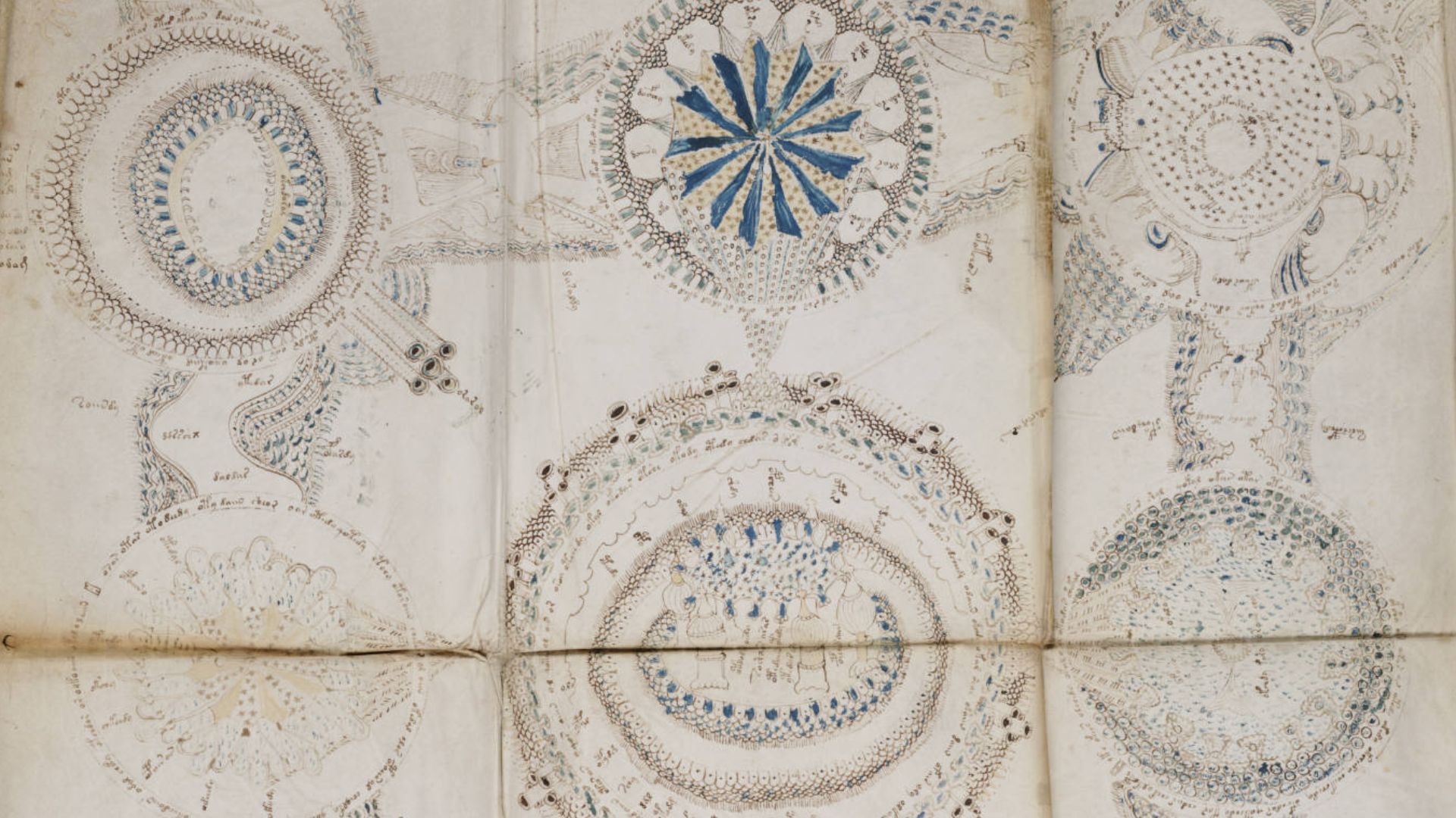 A page from the mysterious Voynich manuscript, which is undeciphered to this day.