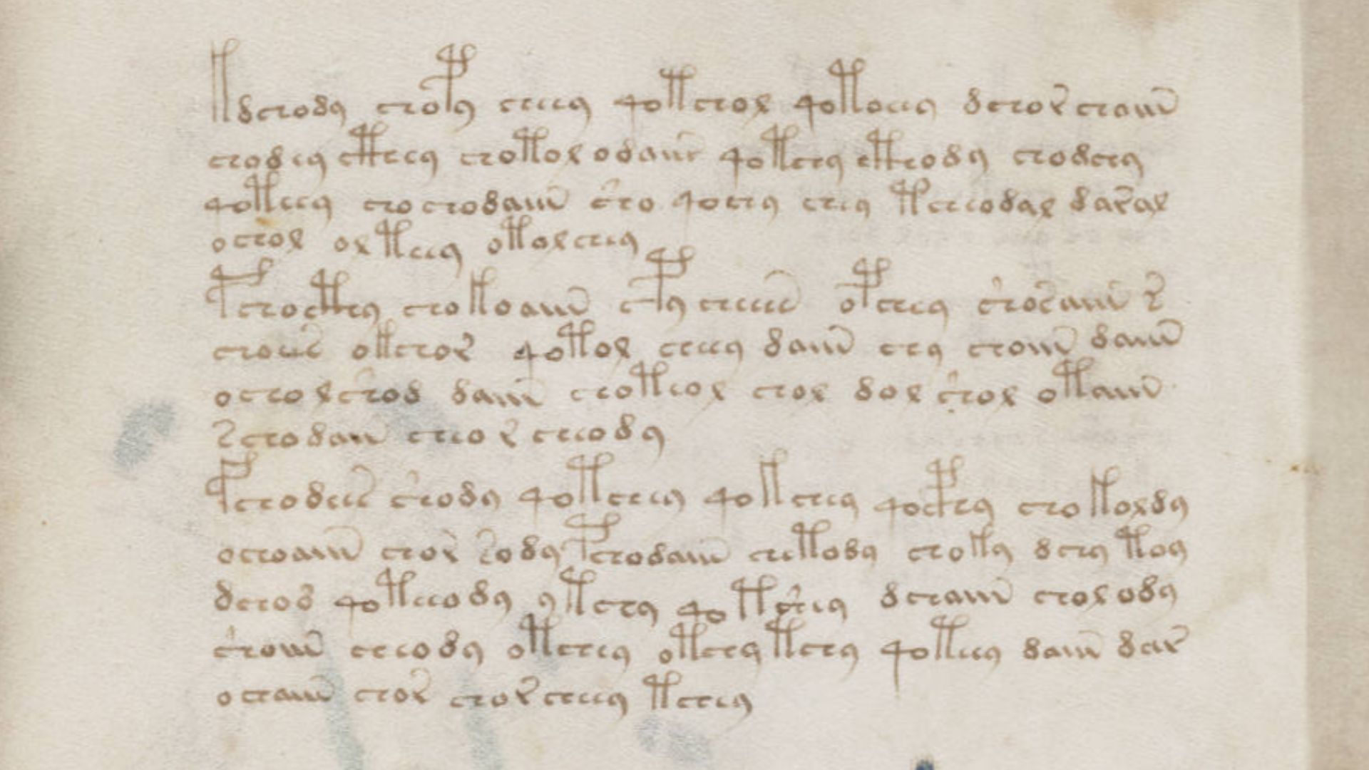 A page from the mysterious Voynich manuscript, which is undeciphered to this day.