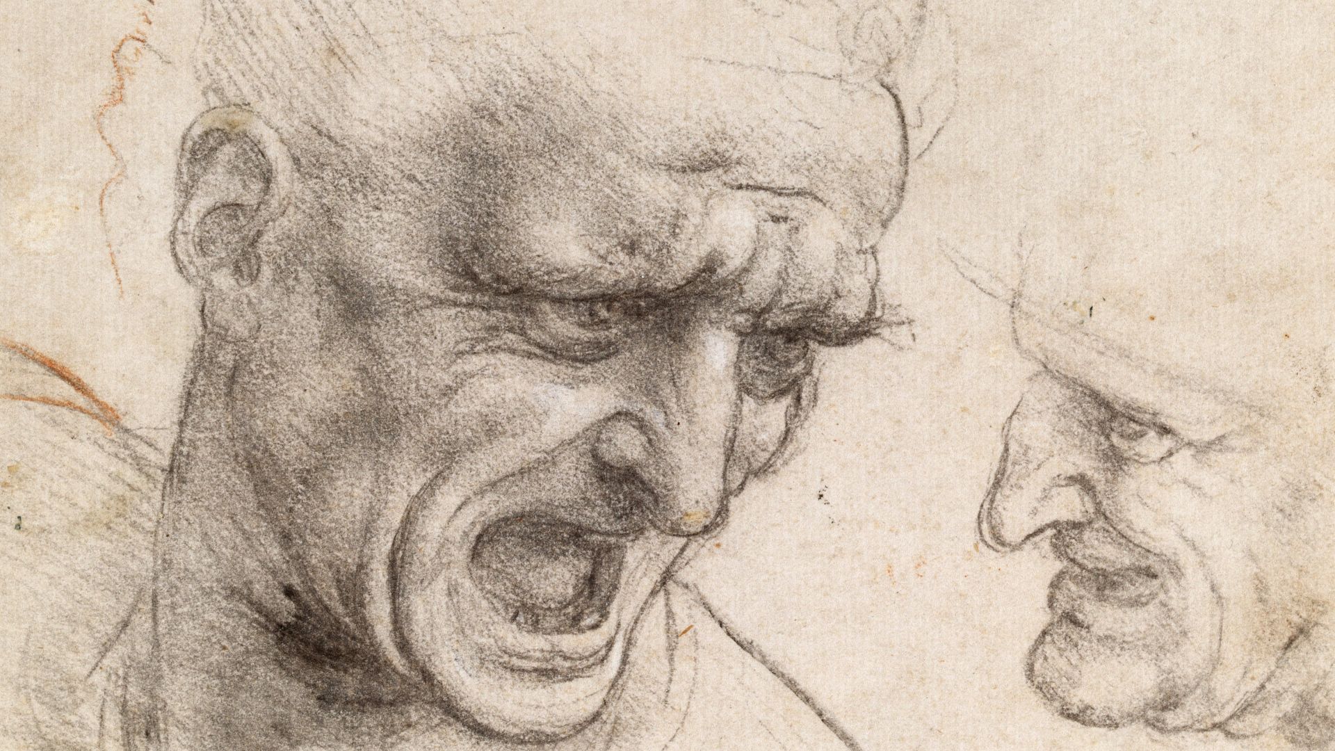 File:Leonardo da Vinci - Study of Two Warriors' Heads for the Battle of Anghiari - Google Art Project (cropped).jpg