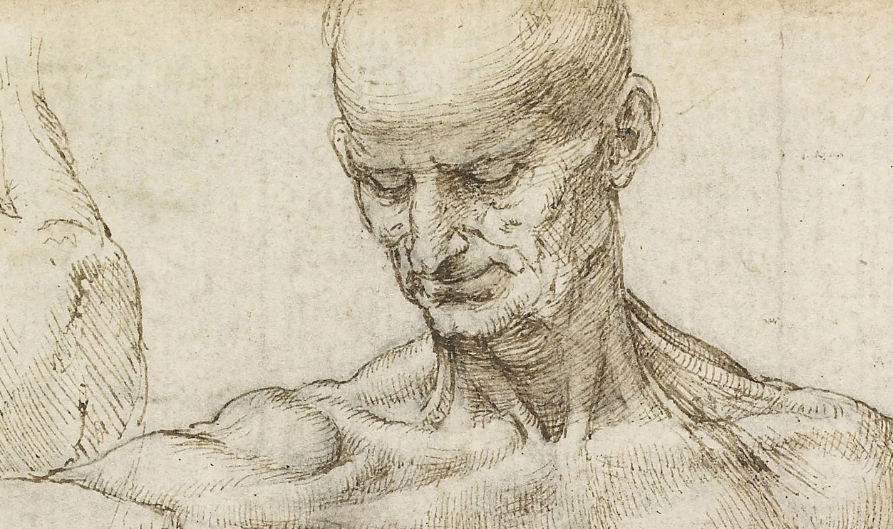 Superficial Anatomy Of The Shoulder And Neck - 1425825911