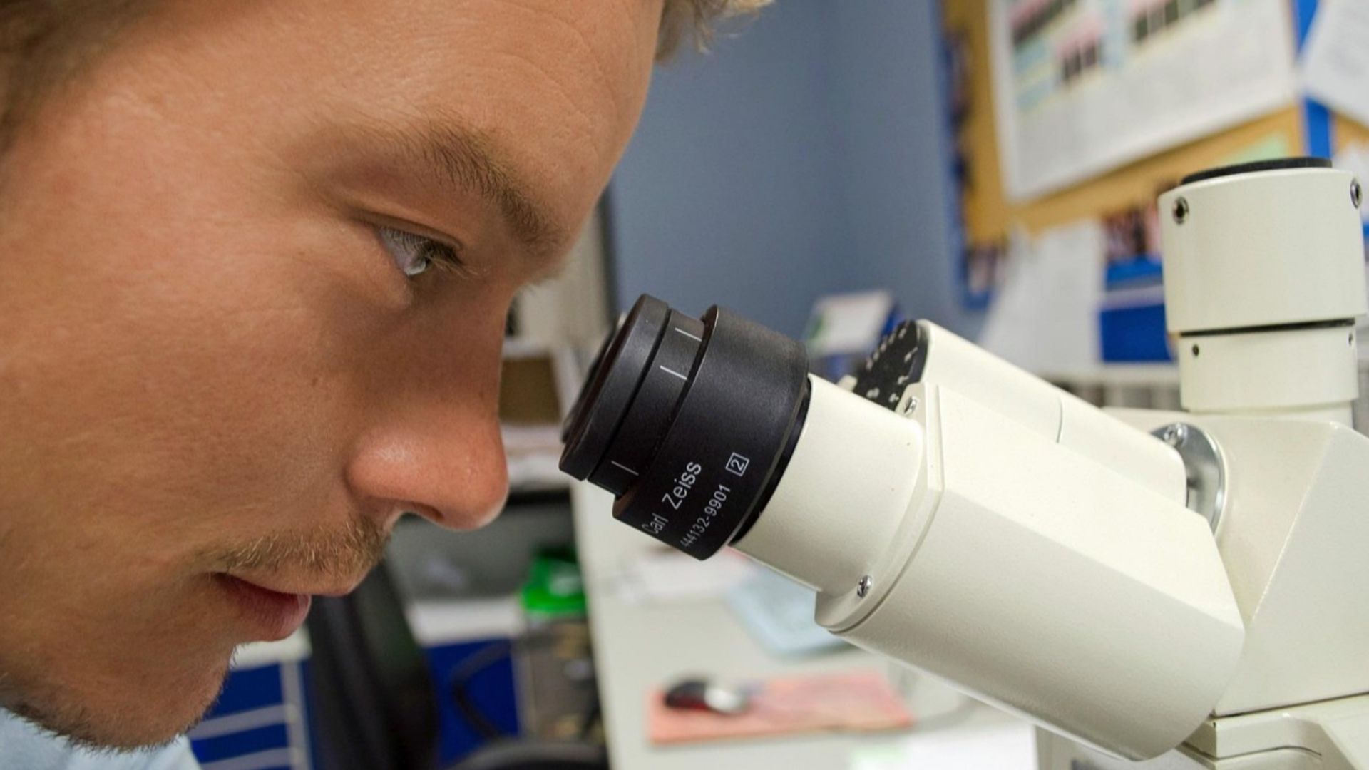 PublicDomainPictures