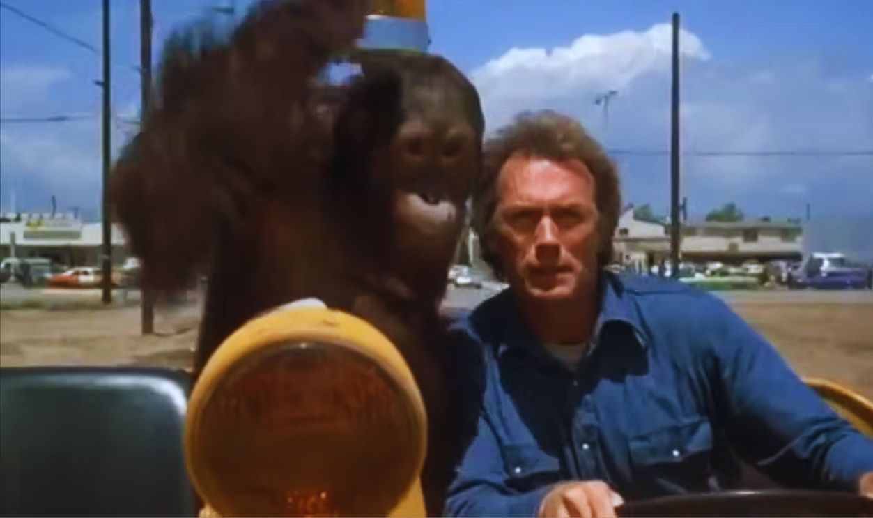 Screenshot from Every Which Way but Loose (1978) 