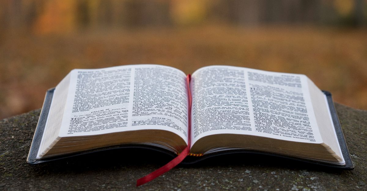 bible page on gray concrete surface