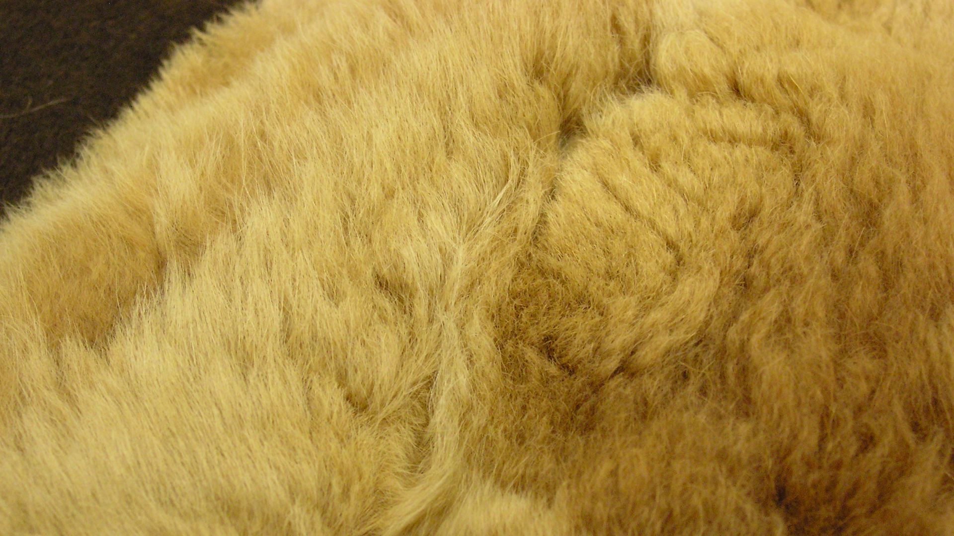 Blanket, fur attached to wool felt with red binding