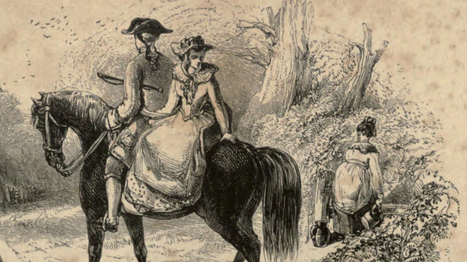 The horse and his rider, or, Sketches and anecdotes of the noble quadruped, and of equestrian nations. /  By Rollo Springfield.