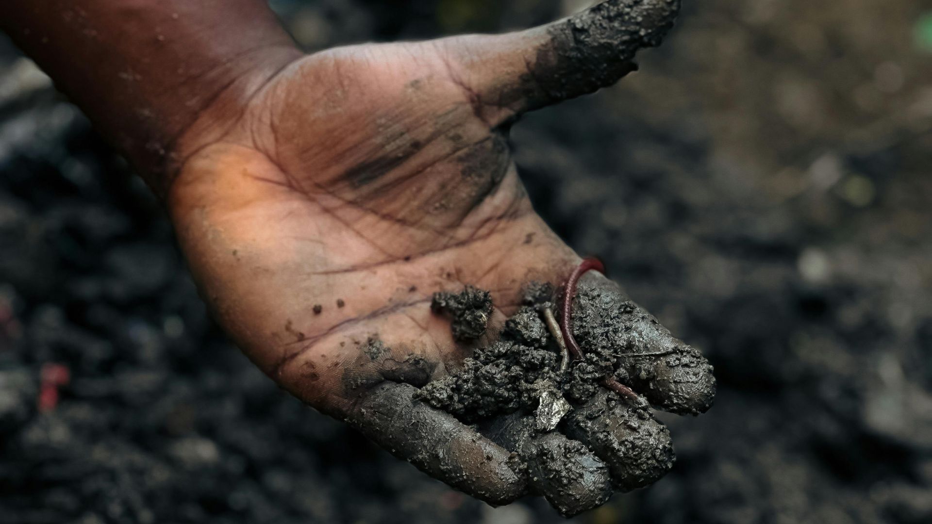 A hand holding soil with an earthworm, symbolizing connection to nature and agriculture.