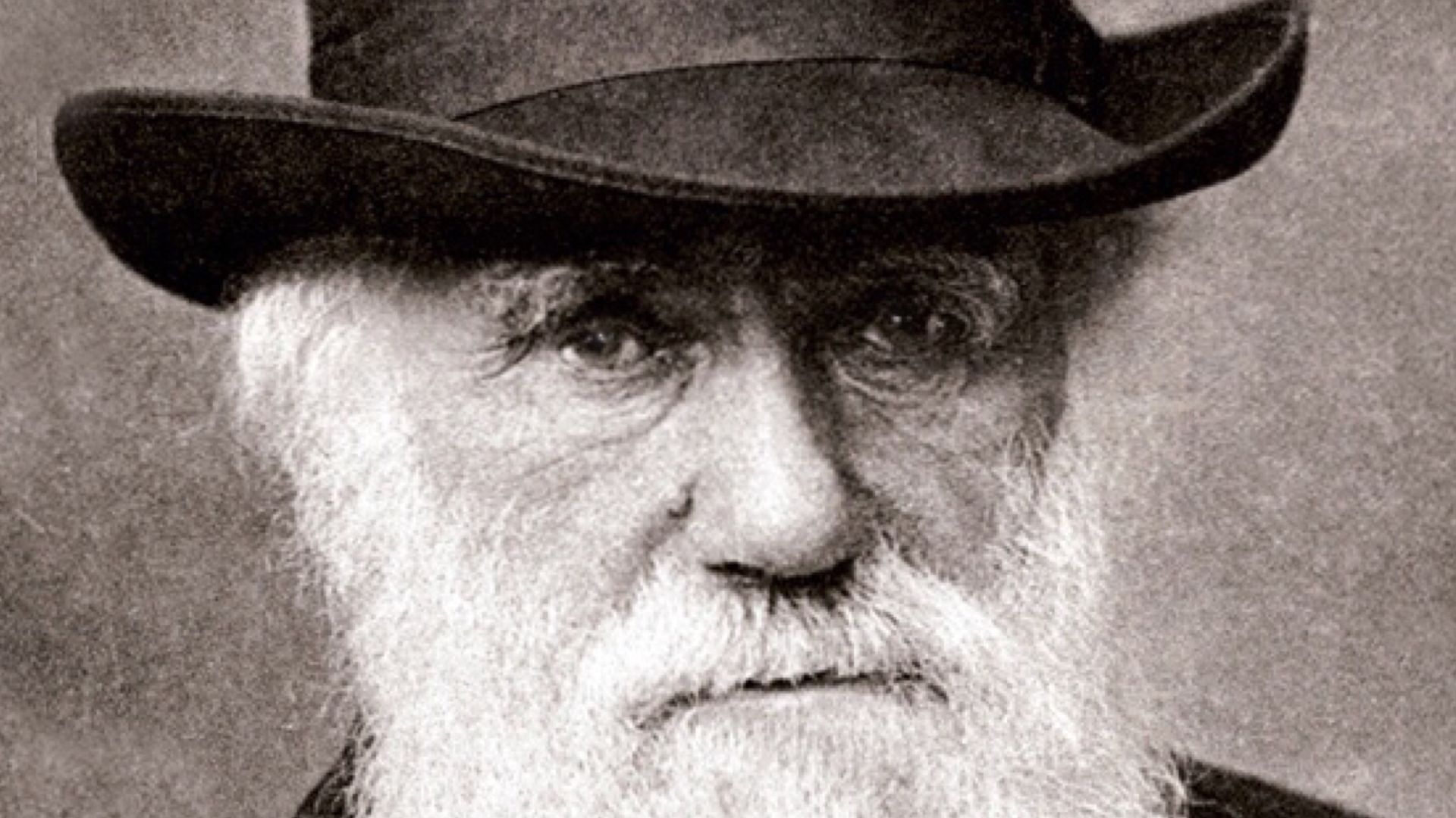 Charles Darwin in 1881, cropped version.