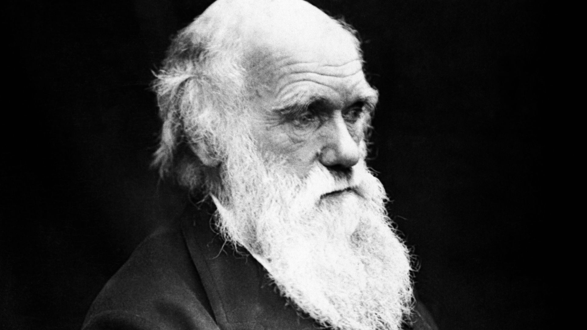 Charles Darwin (1809–1882) in his later years. This image is the correct orientation. Darwin's mole was on the right side of his nose.