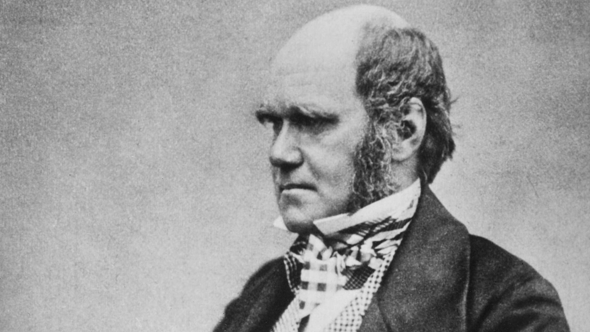 Photograph of Charles Darwin; the frontispiece of Francis Darwin's The Life and Letters of Charles Darwin (1887) has the caption