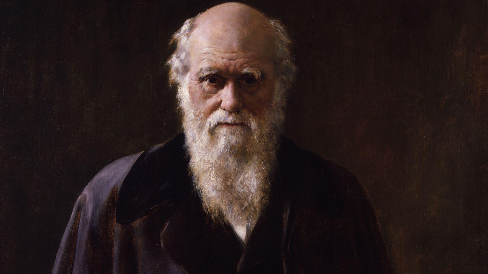 Charles Robert Darwin. A copy made by John Collier (1850-1934) in 1883 of his 1881 portrait of Charles Darwin. According to Darwin's son Erasmus,