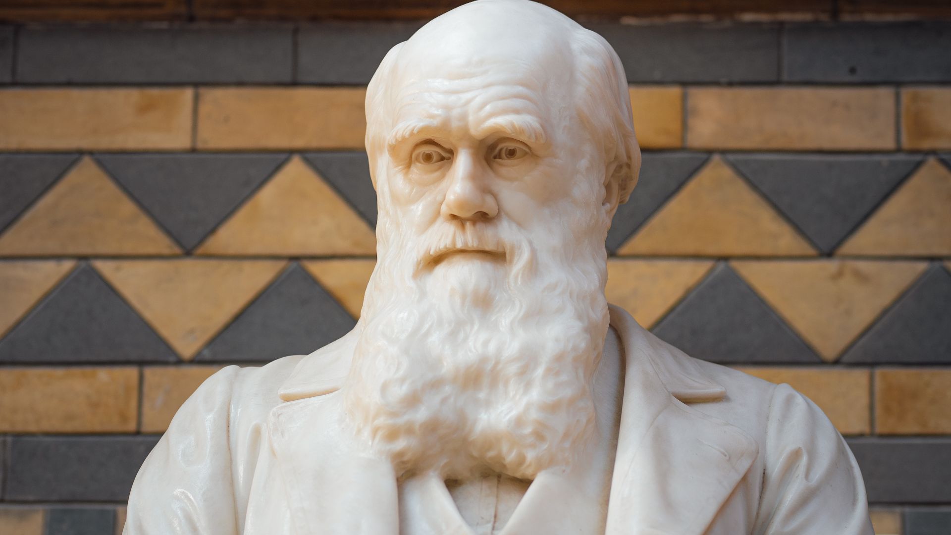 Statue of Charles Darwin in the central hall of the Natural History Museum in London. Focus on the statue's head with the upper body and hands included but out of focus.