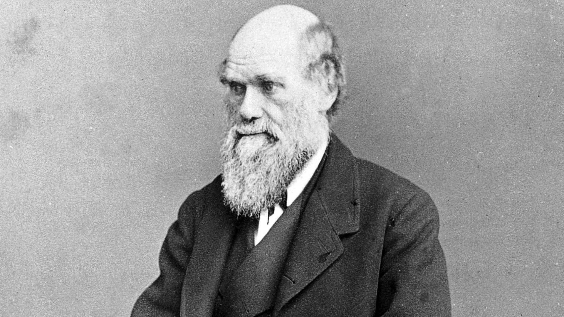 Charles Darwin

General Collections
Keywords: Charles Robert Darwin