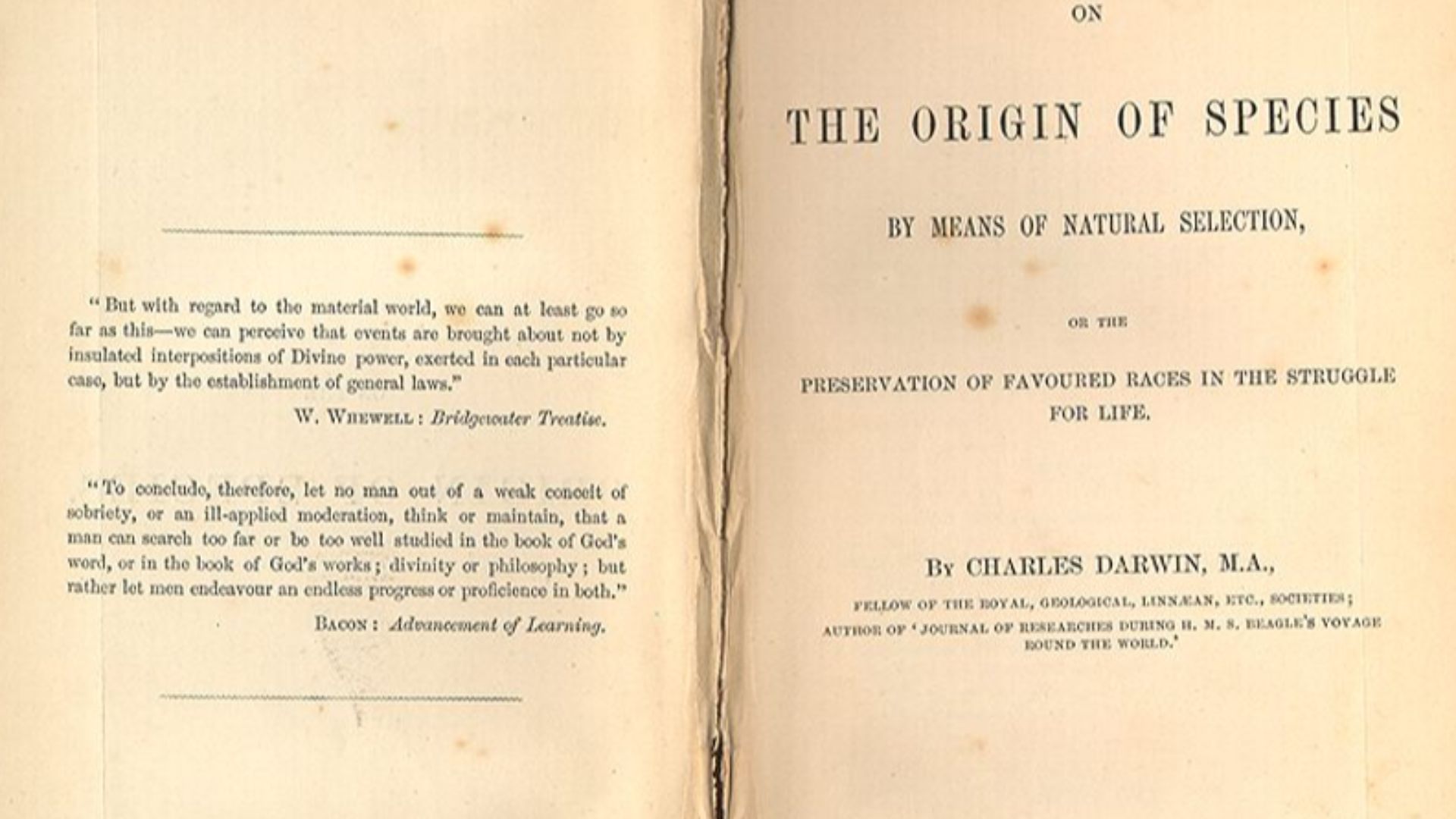 File:Origin of Species.jpg