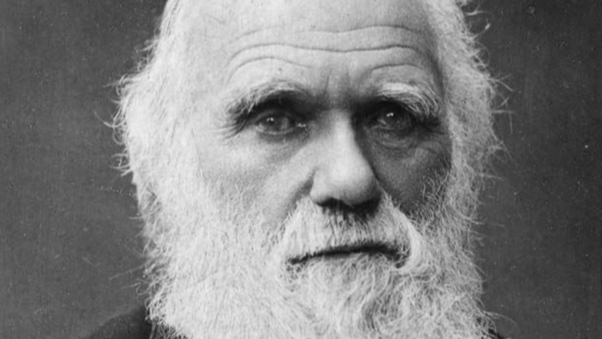 Portrait of Charles Darwin by Herbert Rose Barraud (1845 - 1896) taken in 1881, thought to be the last photograph of Darwin before his death.